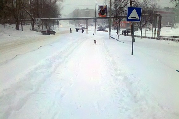 Улица Тульская, Суворов